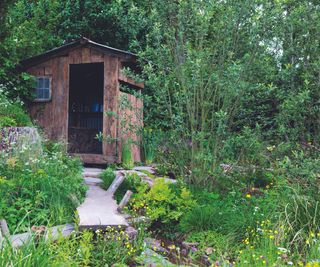 A Rewilding Britain Landscape at RHS Chelsea Flower Show 2022