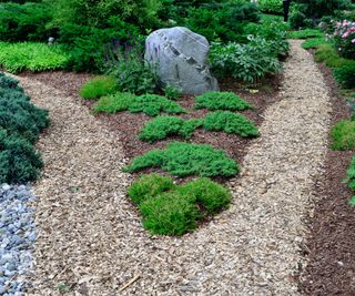 Bark chipping mulch being used to make paths